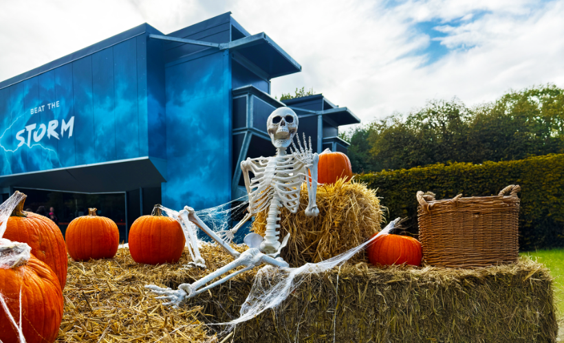 Halloween Week