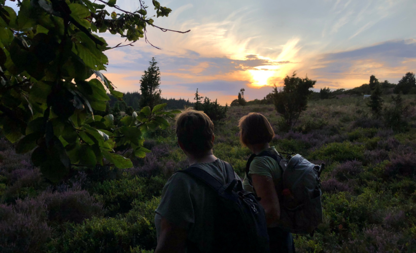 Mørkevandring i Rold Skov