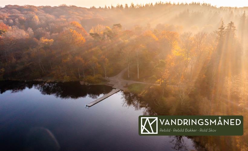 Guidet skumrings- og mørkevandretur - fra by til skov og søer
