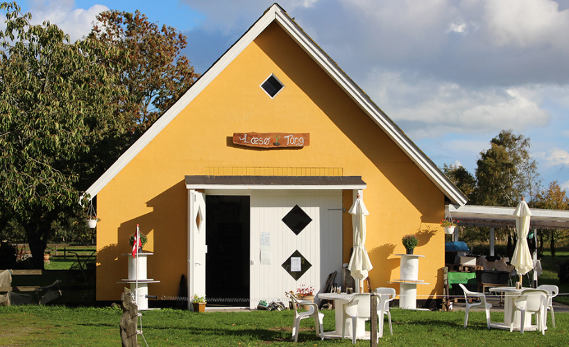 Kulturarvsdage - Læsø Tang