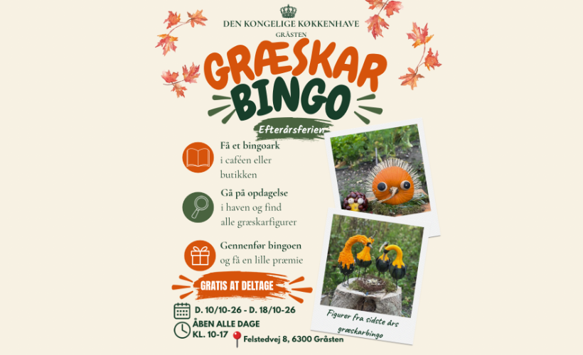 🎃 Græskarbingo i efterårsferien 🍂